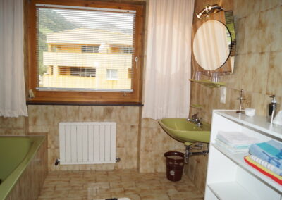 Wohnung Stubaital